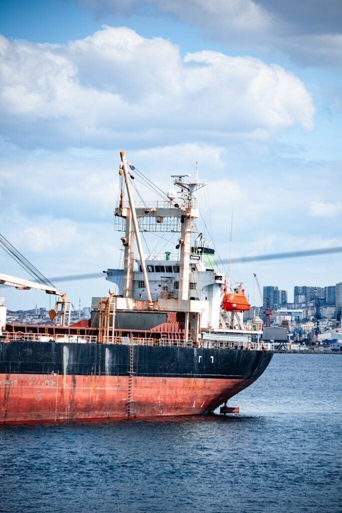 pexels photo 34020236.jpeg